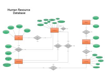 Human Resource Database | EdrawMax Templates