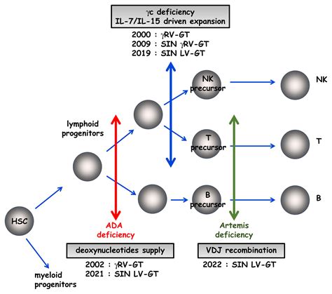 Gene therapy for SCID, now up to 3! - Journal of Allergy and Clinical ...