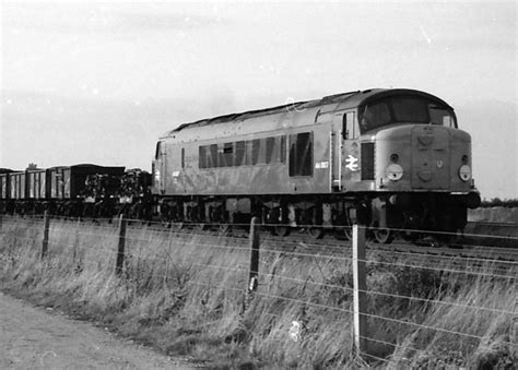 Class 44 Diesels around Peterborough - PETERBOROUGH IMAGES ARCHIVE