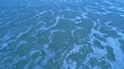 Seaside Shingle Seashore Free Stock Photo - Public Domain Pictures