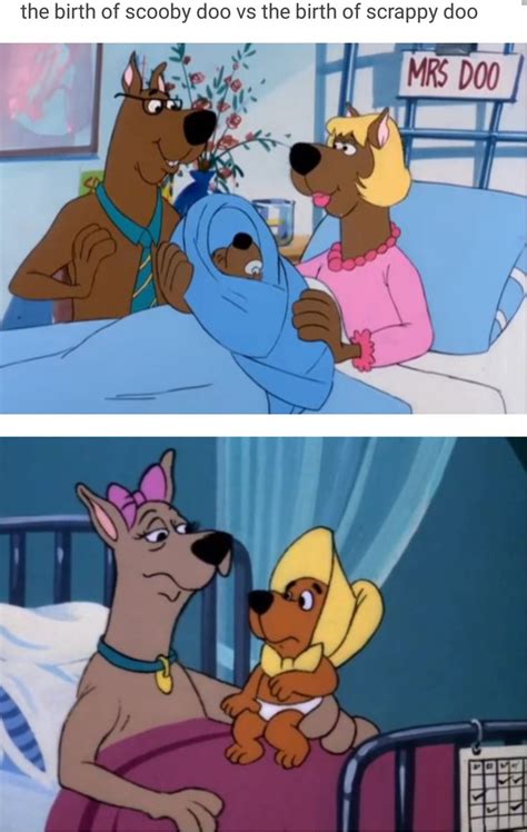 Welp, this explains a lot | Scooby-Doo | Scooby doo memes, Scooby ...