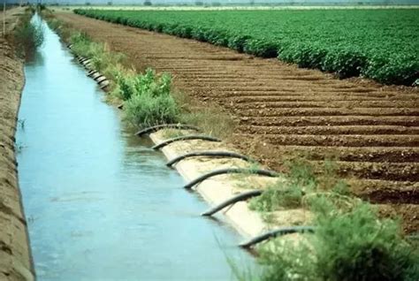 Egypt upgrades 2,017 km of irrigation canals - Farmers Review Africa