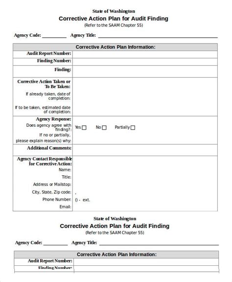 Audit Corrective Action Plan Examples - IMAGESEE