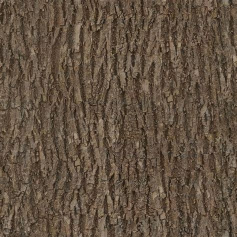 Bark, Wood, Tree, Seamless, Texture, Albedo, Base Wood Texture Seamless, Seamless Textures, Game ...