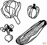 Vegetables coloring page  Free Printable Coloring Pages sketch template
