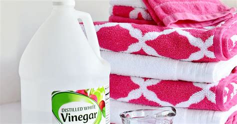 Prevent and Remove Mildew Smell from Clothes | TidyMom