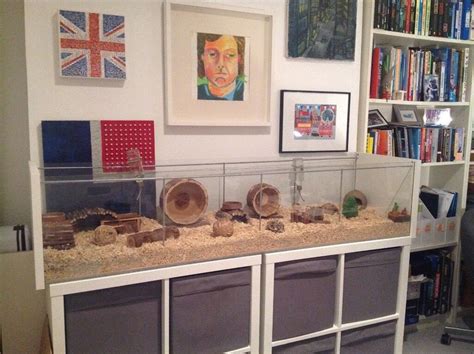 HUGE Glass Hamster Cage with ALL Accessories! | in Southfields, London ...