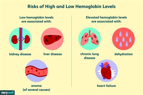 Hemoglobin Electrophoresis: Uses, Procedure, Results