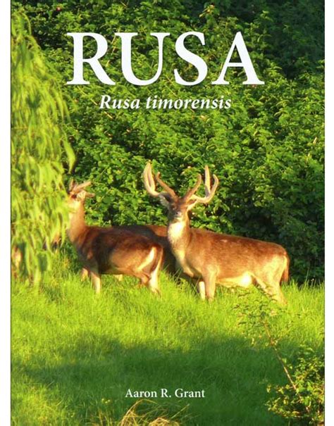 Rusa - Rusa Timorensis - AFN Fishing & Outdoors