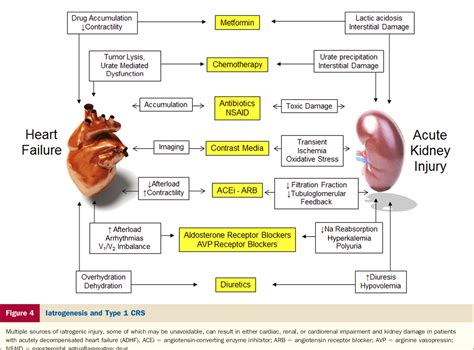 Figure 4 from Cardiorenal syndrome type 1: pathophysiological crosstalk ...