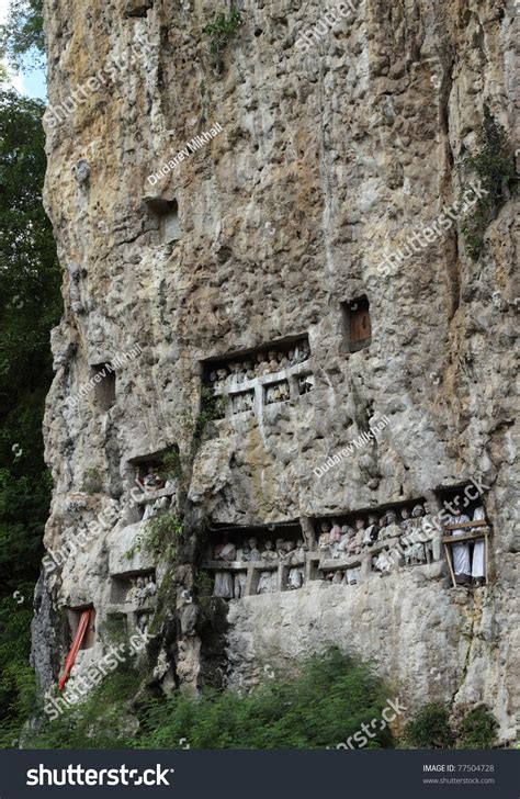 Old Family Statues "Tau-Tau" Standing On A Rock Balconies. Tana Toraja Region. Sulawesi Island ...