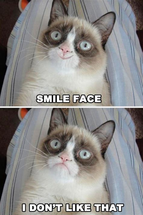 Grumpy Cat: Smile Face