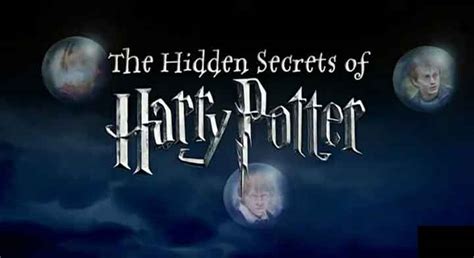 Explore the Hidden World of Harry Potter - Secrets That Will Leave You ...