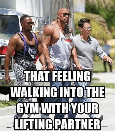 48 Best Funny Gym Memes You Must See | Gym memes funny, Gym humor, Gym memes