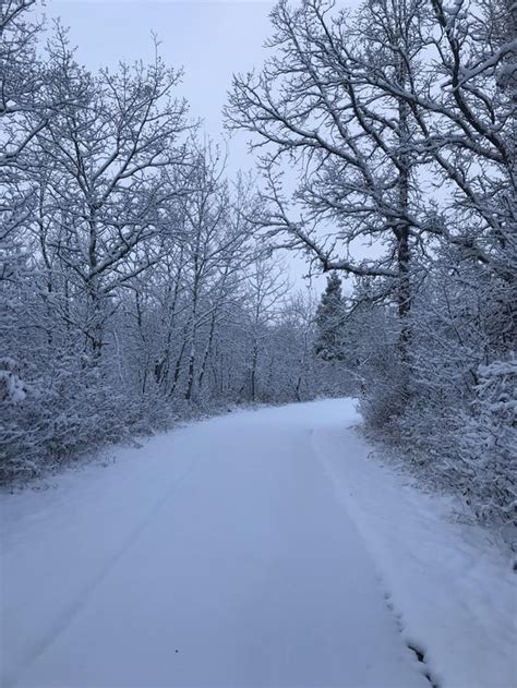 Birds Hill Park, always beautiful!! : r/Winnipeg