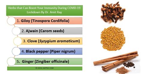 Herbs that Can Boost Your Immunity During COVID-19 Lockdown Amit Ray