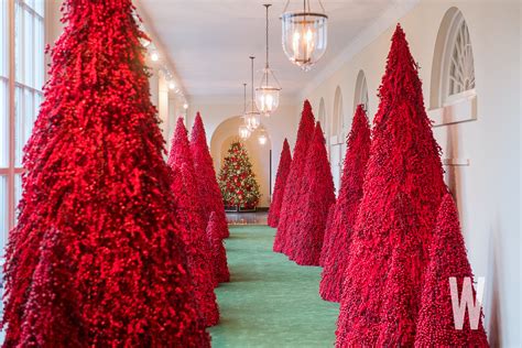 PHOTOS: The 2018 White House Christmas Decorations - Washingtonian