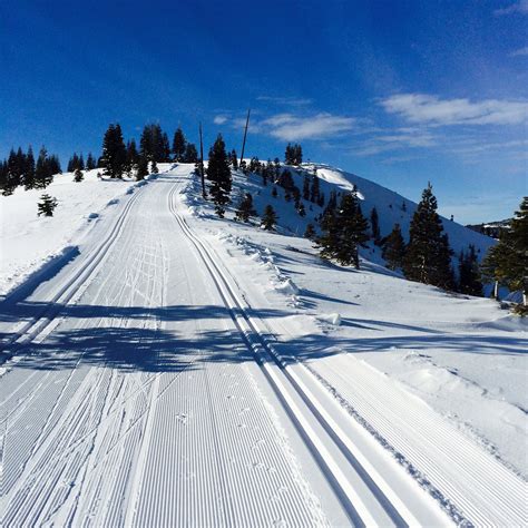 Tahoe Donner Cross Country to Host Inaugural Winter Festival | First Tracks!! Online Ski Magazine