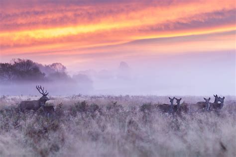 How To Use A Polarising Filter To Perfect Your Weather Photography ...