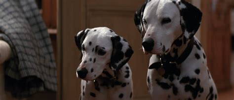 Image - Pongo-and-Perdita-1996-1.png - Disney Wiki - Wikia