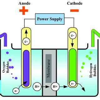 General principle of a water electrolysis cell. | Download Scientific ...