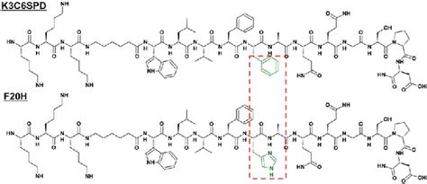 Primary structure of peptide K3C6SPD and the single... | Download ...