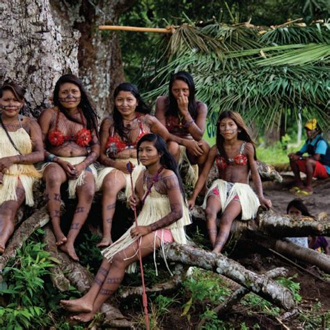 Endangered Amazon: An Indigenous Tribe Fights Back Against Hydropower ...