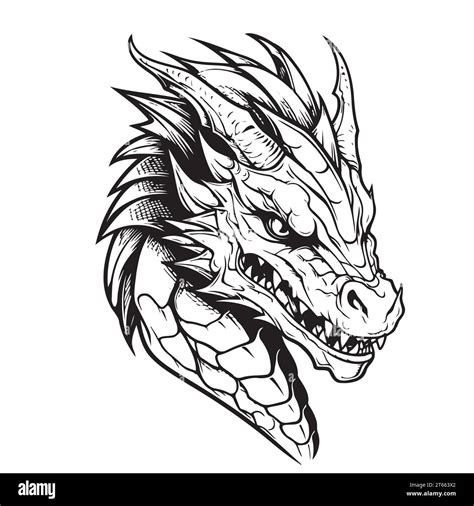 Dragon head logo sketch hand drawn. Symbol and sign of new year Stock ...