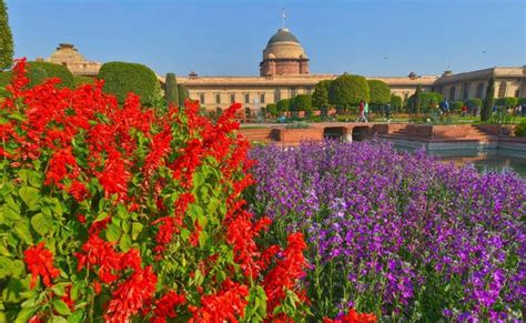 Mughal Gardens Rashtrapati Bhavan Timings | Fasci Garden