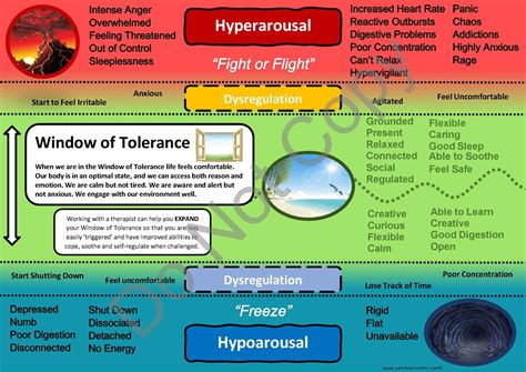 Window of Tolerance Page 1 | Based on clinically validated interventions.