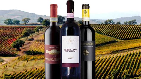 50 Most Popular Italian Red Wines - TasteAtlas