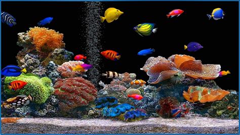 Fish Aquarium Screensaver for Mobile - Download-Screensavers.biz