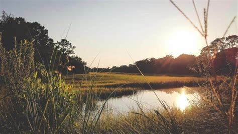 South Carolina State Parks | List + Map of State Parks in SC