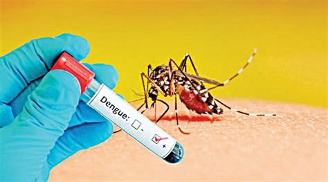 Dengue vaccine trial shows promising results in Bangladesh - Asia News ...