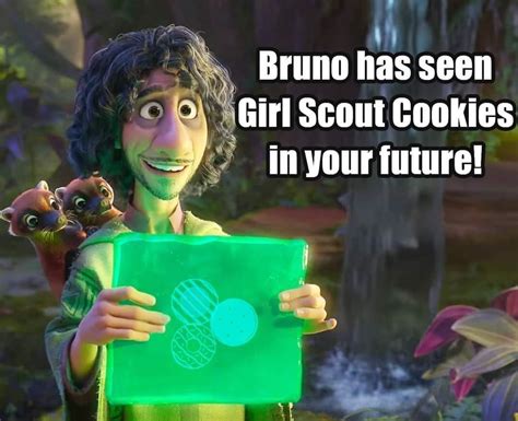 Girl Scout Cookie Meme, Girl Scout Cookies, Gs Cookies, Girl Scouts, Amelia, Lil, Novelty ...