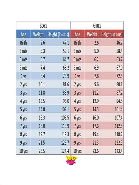 Weight Height Ratio: All You Need To Know