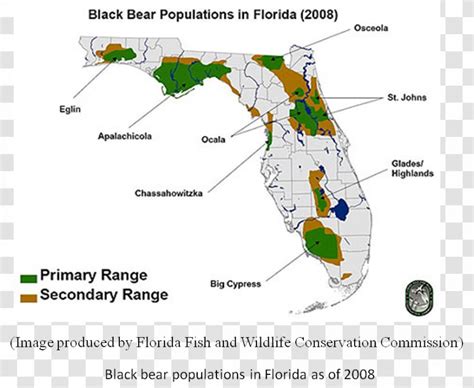 Florida Black Bear Map American Alligator - Alligators Transparent PNG