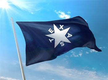 Battle Flag of Texas- Cotton First Republic 1836 - de Zavala