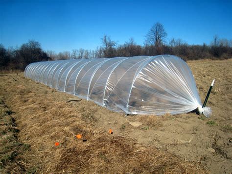 How to Build a Low Tunnel Greenhouse | Soils Plus Sonoma