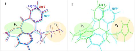 Molecules | Free Full-Text | Me-Better Drug Design Based on Nevirapine and Mechanism of ...