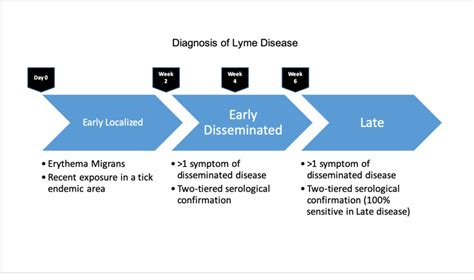 LYME DISEASE DIAGNOSIS | Download Scientific Diagram