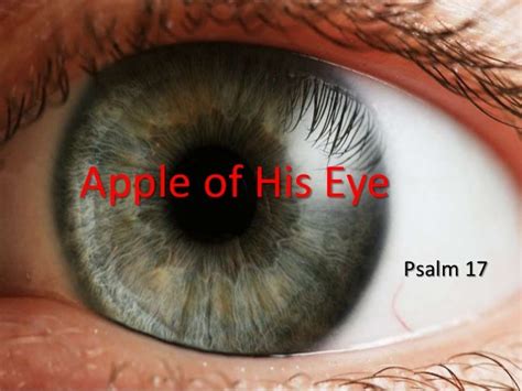 Apple of His Eye Psalm 17