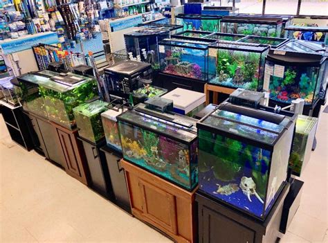 Elmer's Aquarium – Pittsburgh Area Aquarium Specialty Store