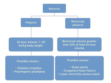 Nocturia, Polyuria, and Nocturnal Polyuria: what are the differences ...