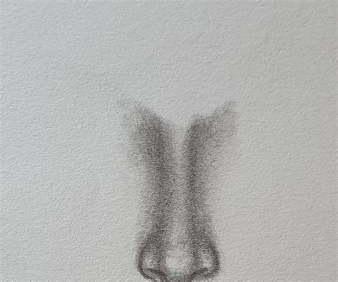 How to Draw a Realistic Nose From the Front : 8 Steps - Instructables