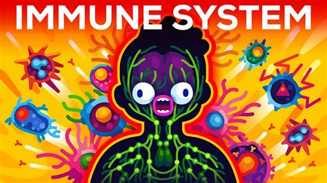 The Immune System Illustrated by Kurzgesagt