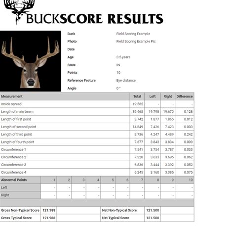 Deer Buck Size Chart: A Visual Reference of Charts | Chart Master