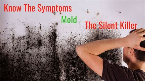 10 Warning Signs of Mold Toxicity in Your Home | Black mold symptoms, Warning signs, Effects of ...