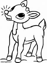 Rudolph The Red Nosed Reindeer Face Coloring Pages sketch template