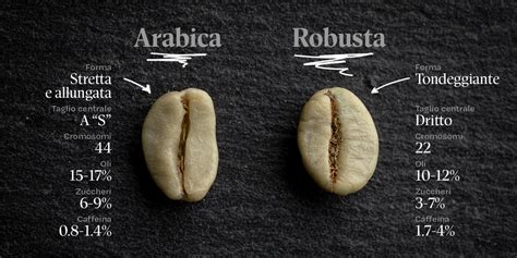 Difference between Arabica and Robusta - Cellini Coffee – Cellini Caffè